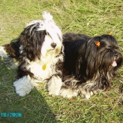 Yassinka und Dyna